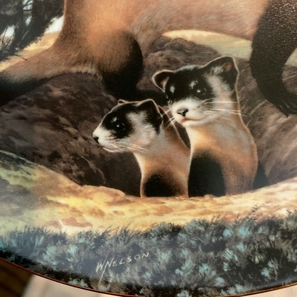 The Black Footed Ferret Will Nelson Vintage Last of Their Kind Endangered Plate - Picture 4 of 15